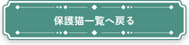 保護猫一覧へ戻る